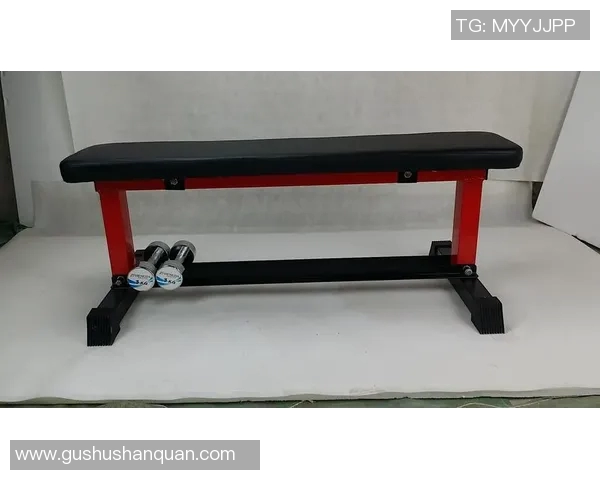 哑铃飞鸟凳的全面解析与训练技巧提升你的健身效果与身体素质