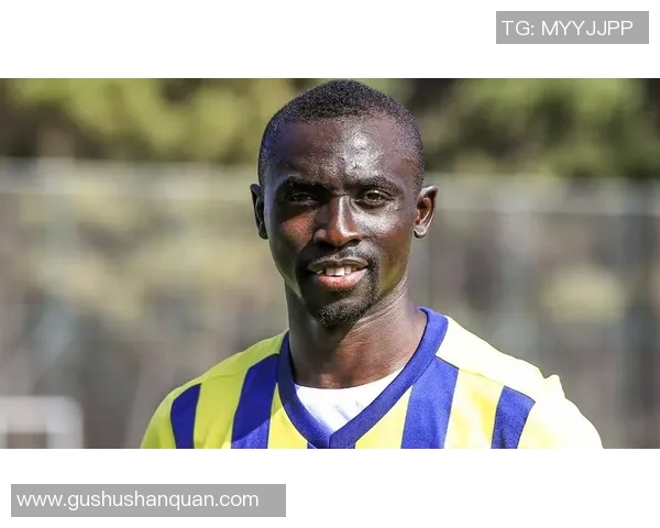 塞内加尔足球明星盘点及其在国际赛场上的辉煌成就