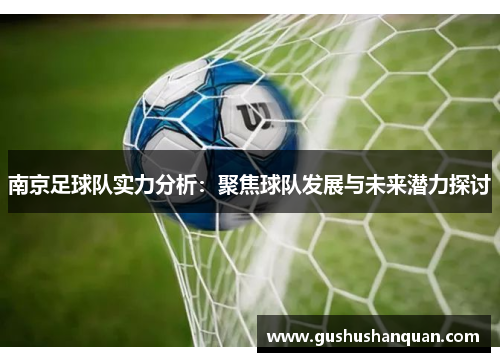 南京足球队实力分析：聚焦球队发展与未来潜力探讨