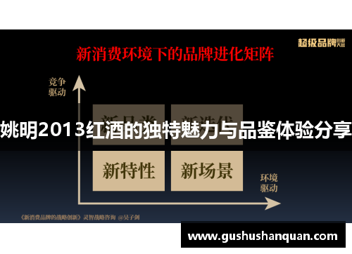 姚明2013红酒的独特魅力与品鉴体验分享